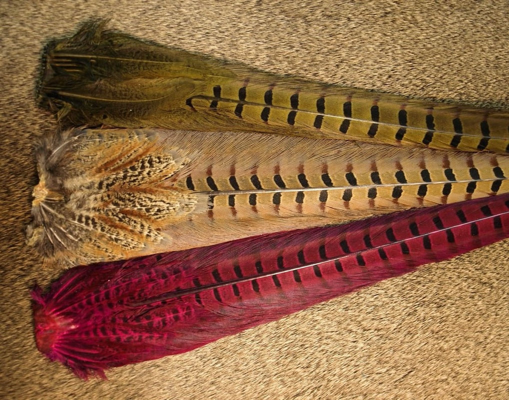 Ringneck pheasant Tail Feathers - Fly Tying Materials